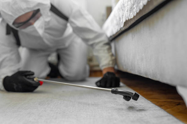 Professional Cockroach Control technician working in New Knoxville, OH