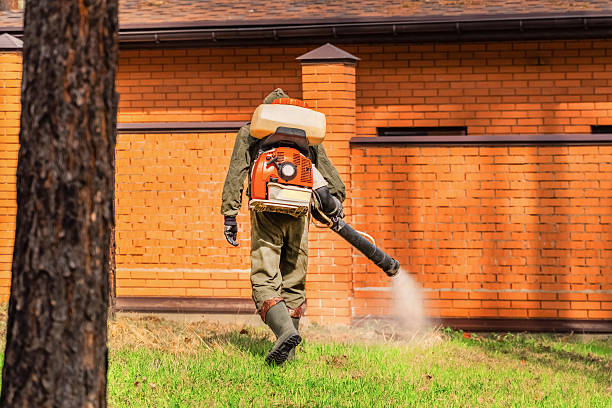 Trusted Mosquito Control service in New Knoxville, OH - Nex Pest Control